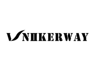 VNIIKERWAY