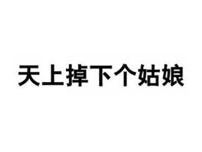 天上掉下个姑娘