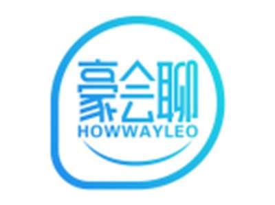 豪会聊HOWWAYLEO