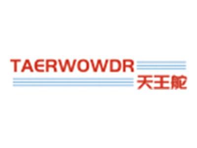 天王舵TAERWOWDR