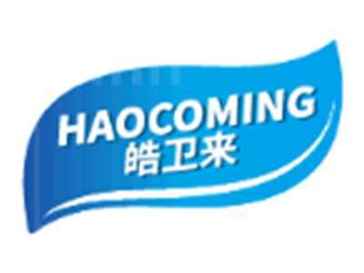 皓卫来HAOCOMING