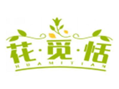 花觅恬HUAMITIAN