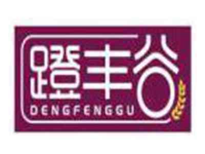 蹬丰谷DENGFENGGU