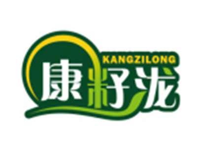 康籽泷KANGZILONG