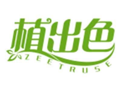 植出色ZEETRUSE