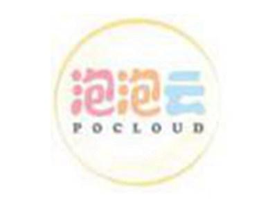 泡泡云POCLOUD