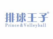 排球王子PRINCEVOLLEYBALL